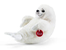 FOCA BIANCA M