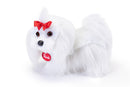 MALTESE LULU' S TRUDI