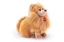 POMERANIA BISCUIT M