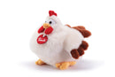 GALLINA DAISY S