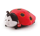 COCCINELLA SOFIA M