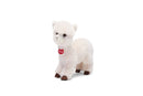 ALPACA ALFREDO S