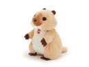 SWEET MARMOTTA