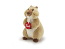 MARMOTTA TRUDINO