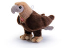 SWEET AQUILA