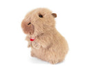 CAPIBARA TRUDINO